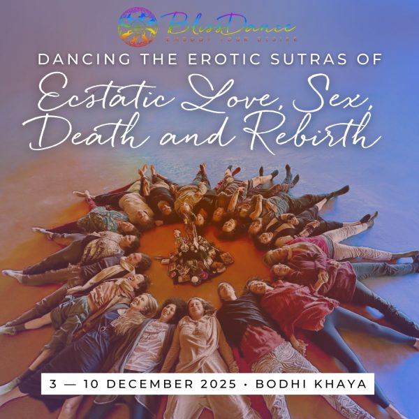 BlissDance Retreat | 3 - 10 December 2025 in South Africa
