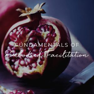 Fundamentals of Embodied Facilitation May 2026